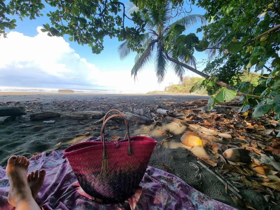 Villa Amor Del Mar With Breathtaking View Of Ocean & Jungle Dominical Exterior foto